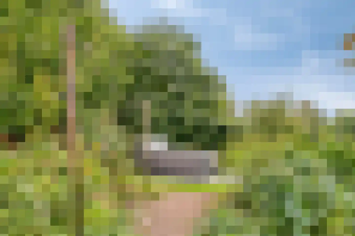 Zomervreugdweg 3 Vorden thumbnail 79