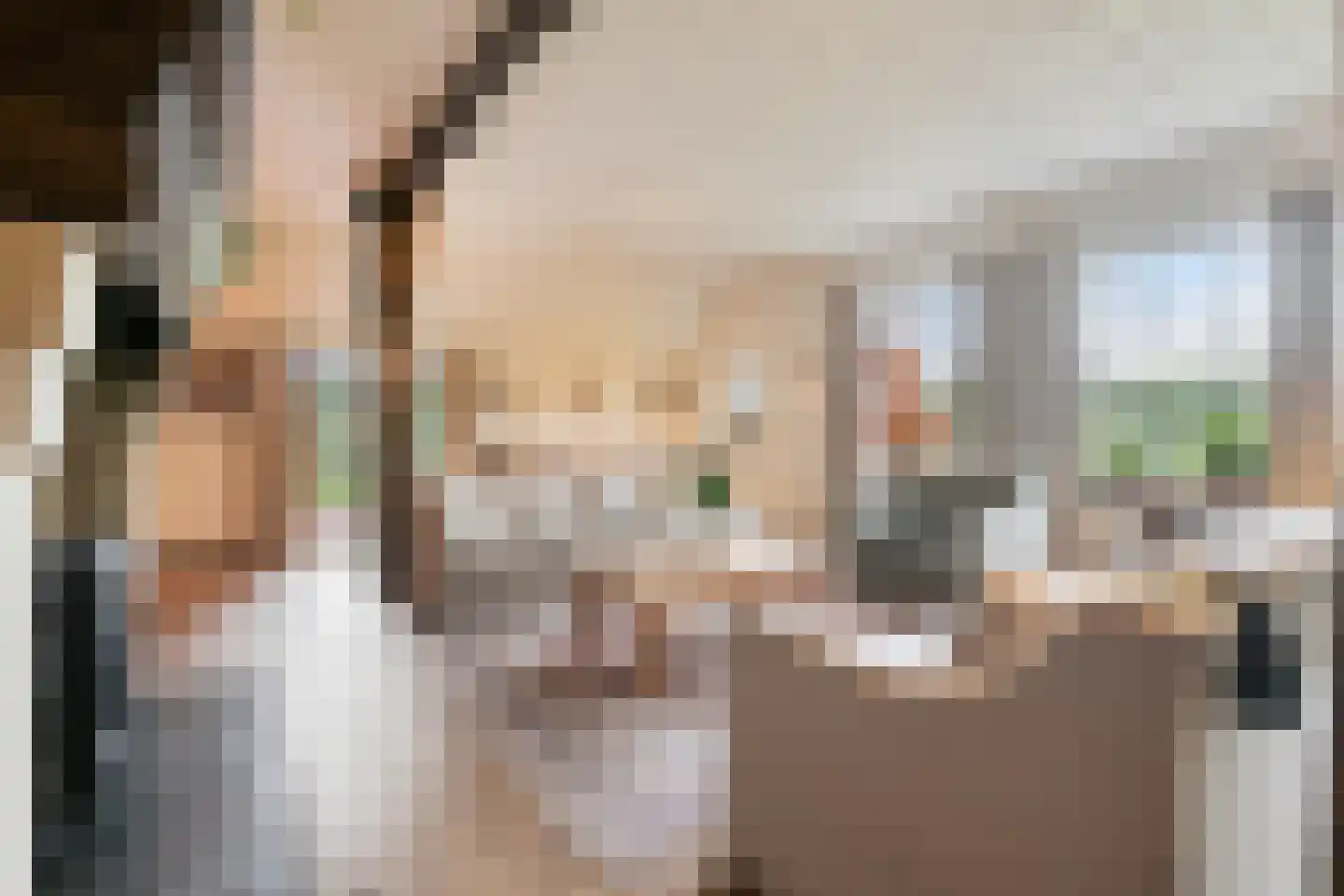 Zomervreugdweg 3 Vorden thumbnail 8
