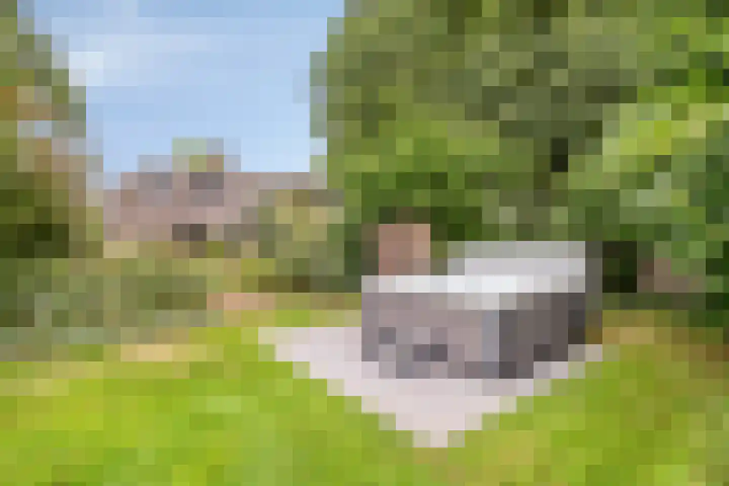Zomervreugdweg 3 Vorden thumbnail 80