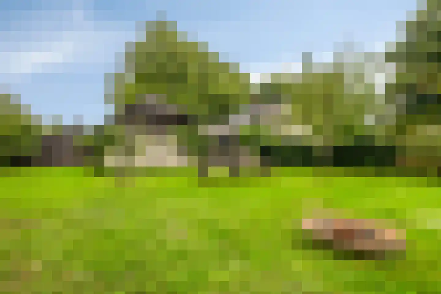 Zomervreugdweg 3 Vorden thumbnail 83