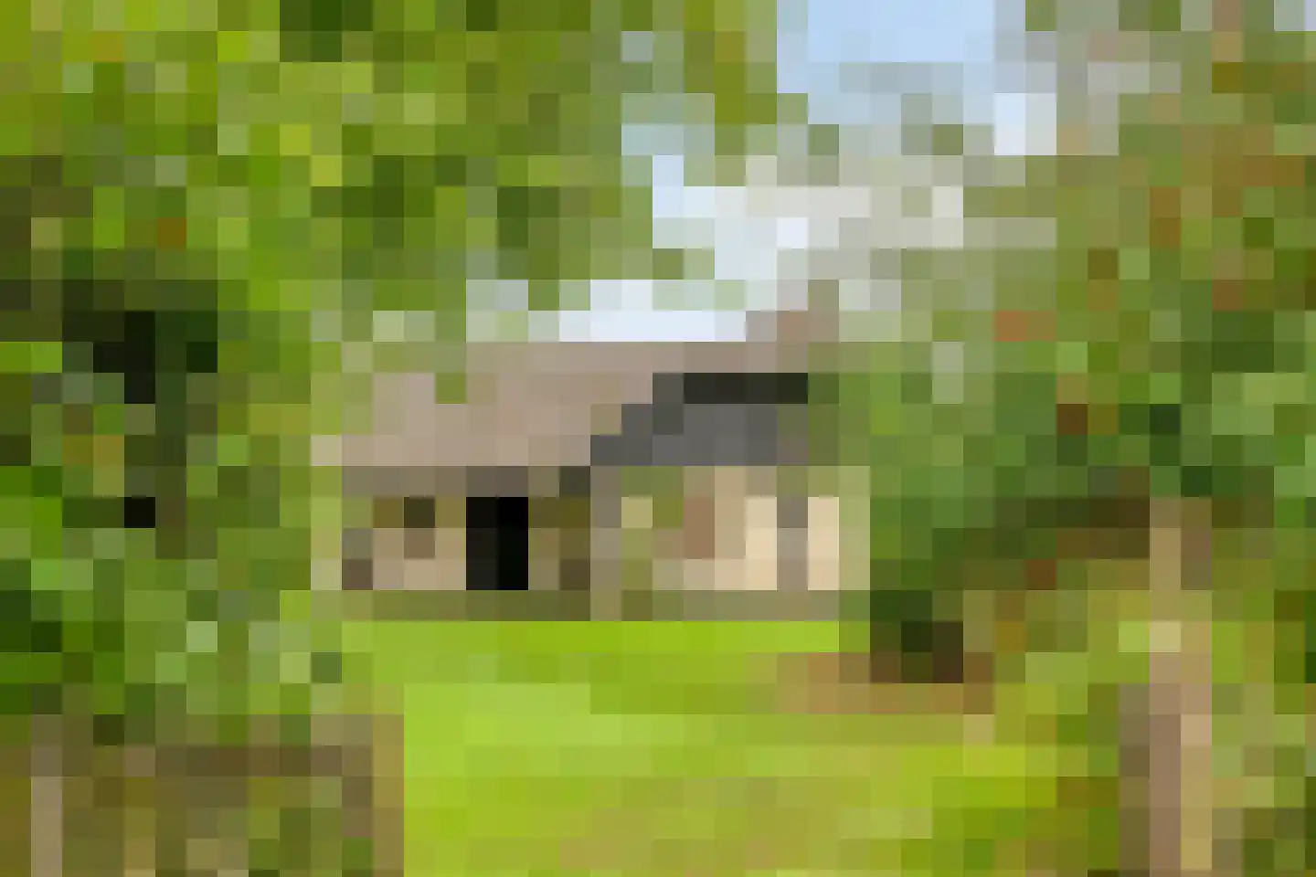 Zomervreugdweg 3 Vorden thumbnail 84
