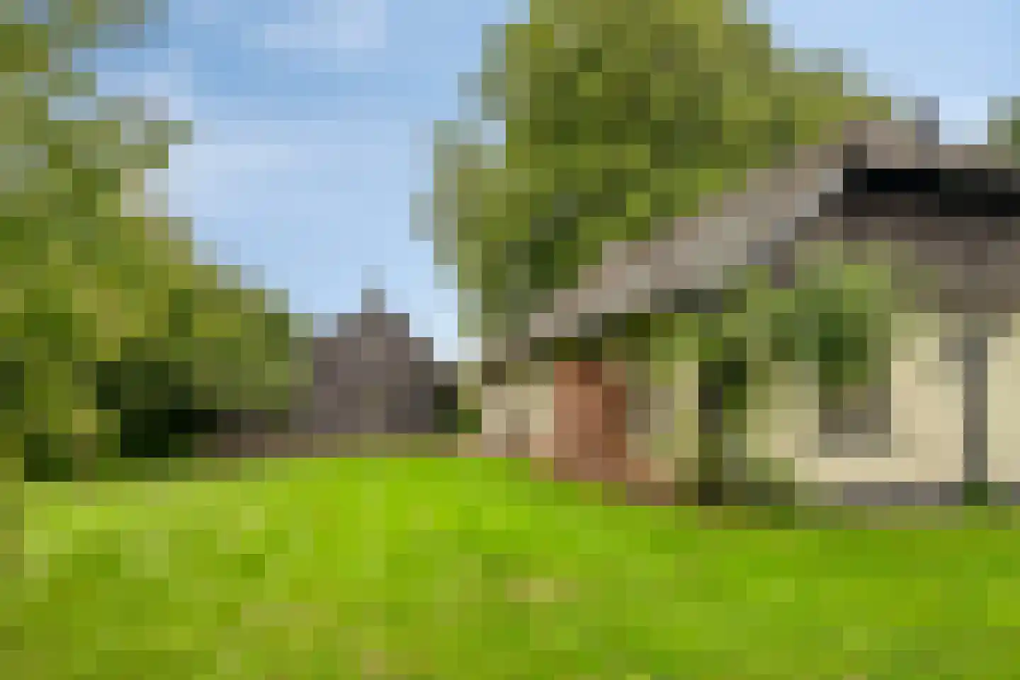 Zomervreugdweg 3 Vorden thumbnail 86
