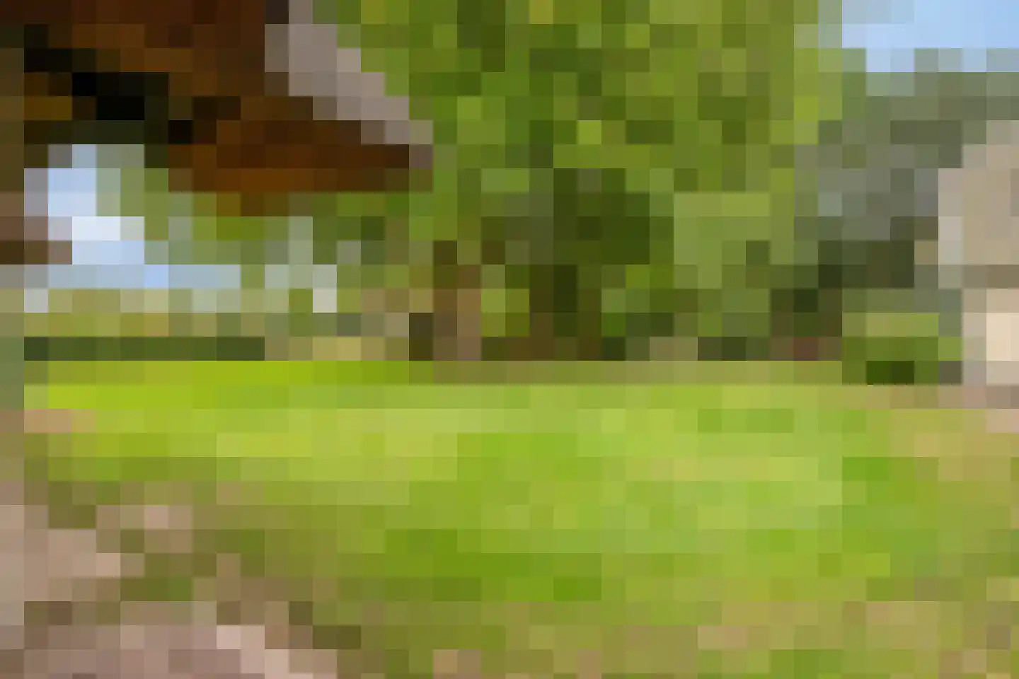 Zomervreugdweg 3 Vorden thumbnail 89
