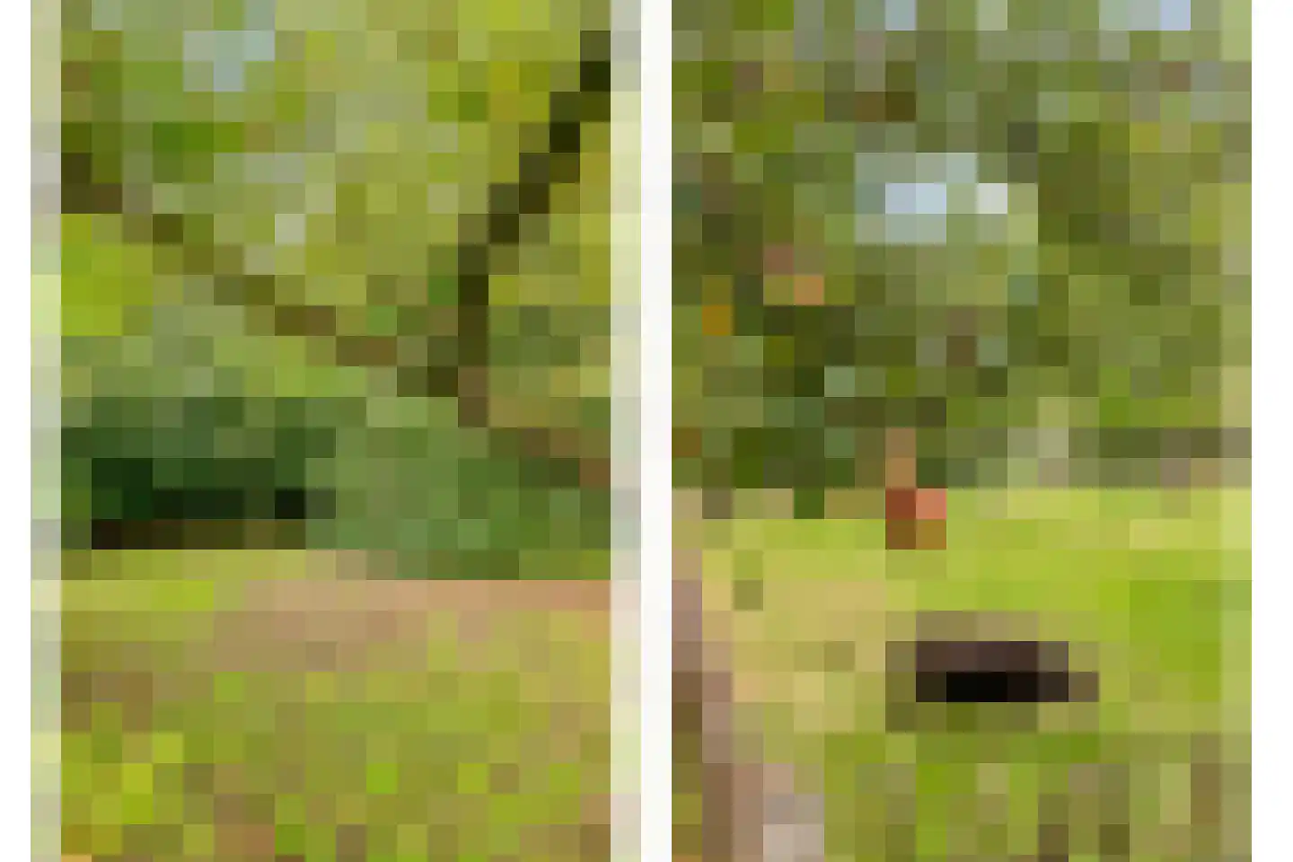 Zomervreugdweg 3 Vorden thumbnail 90