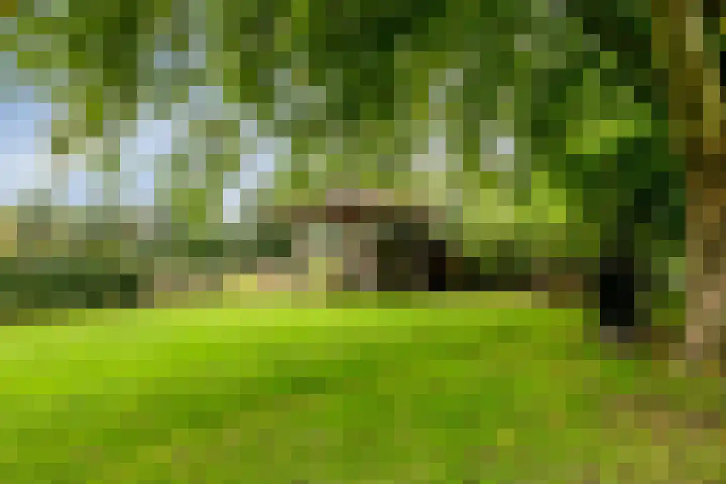 Zomervreugdweg 3 Vorden thumbnail 91