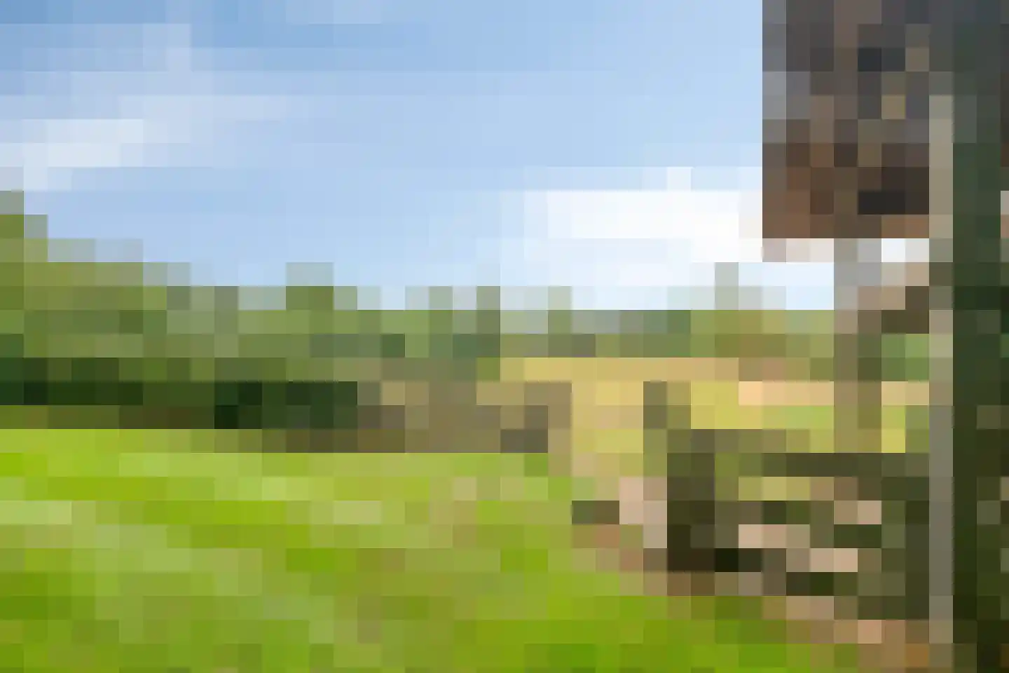 Zomervreugdweg 3 Vorden thumbnail 92