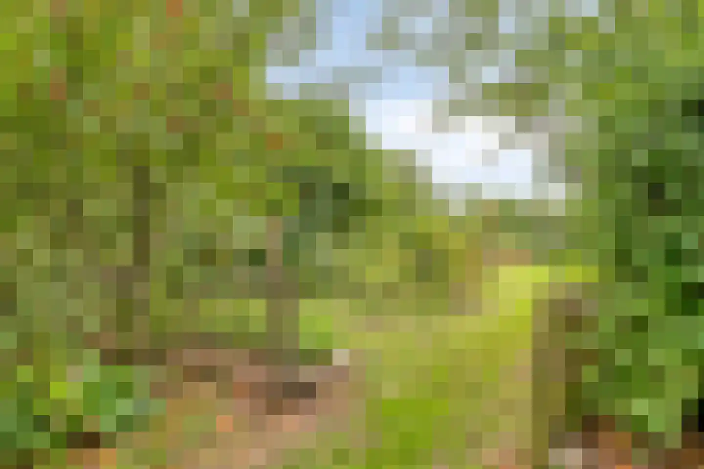 Zomervreugdweg 3 Vorden thumbnail 93