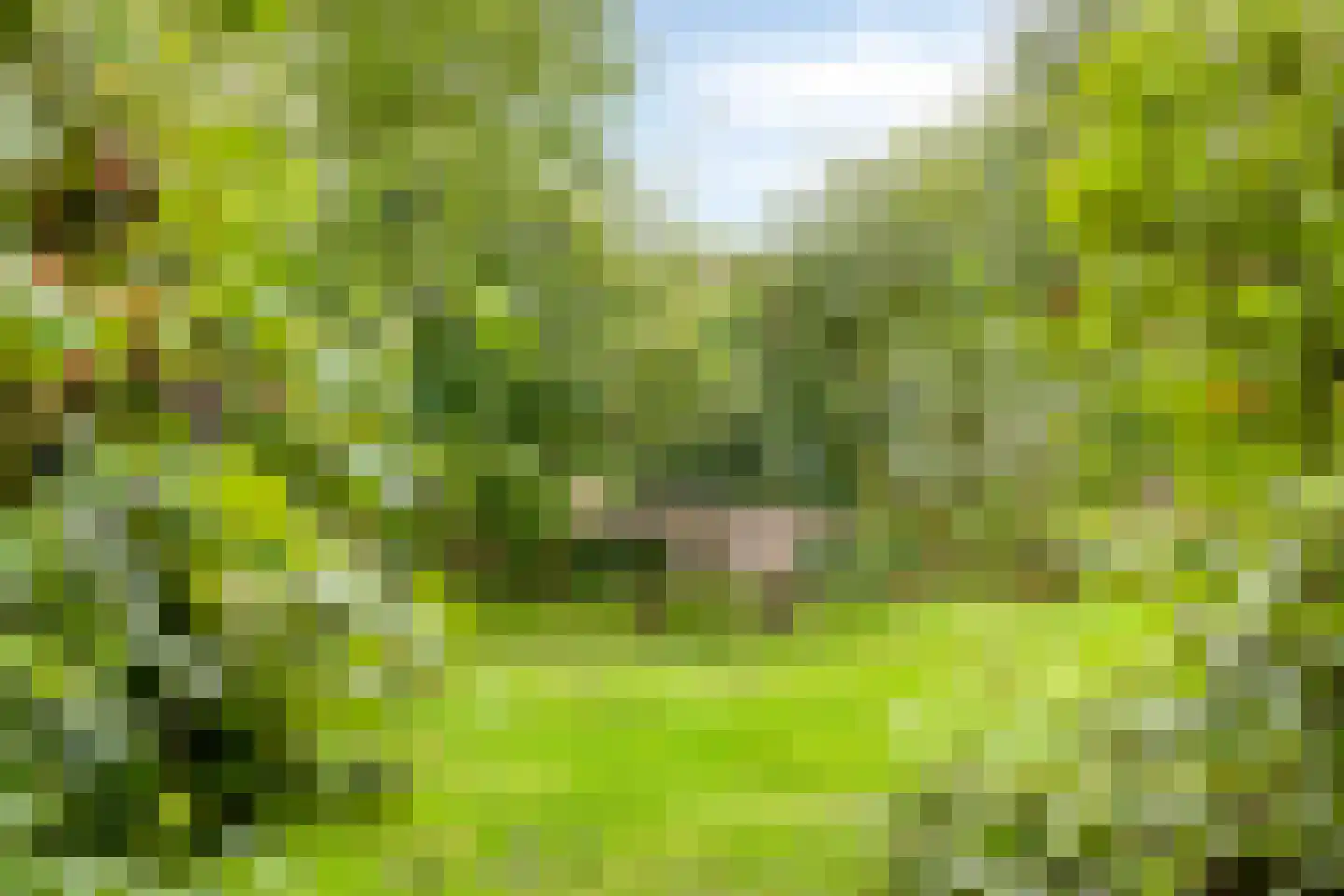 Zomervreugdweg 3 Vorden thumbnail 94