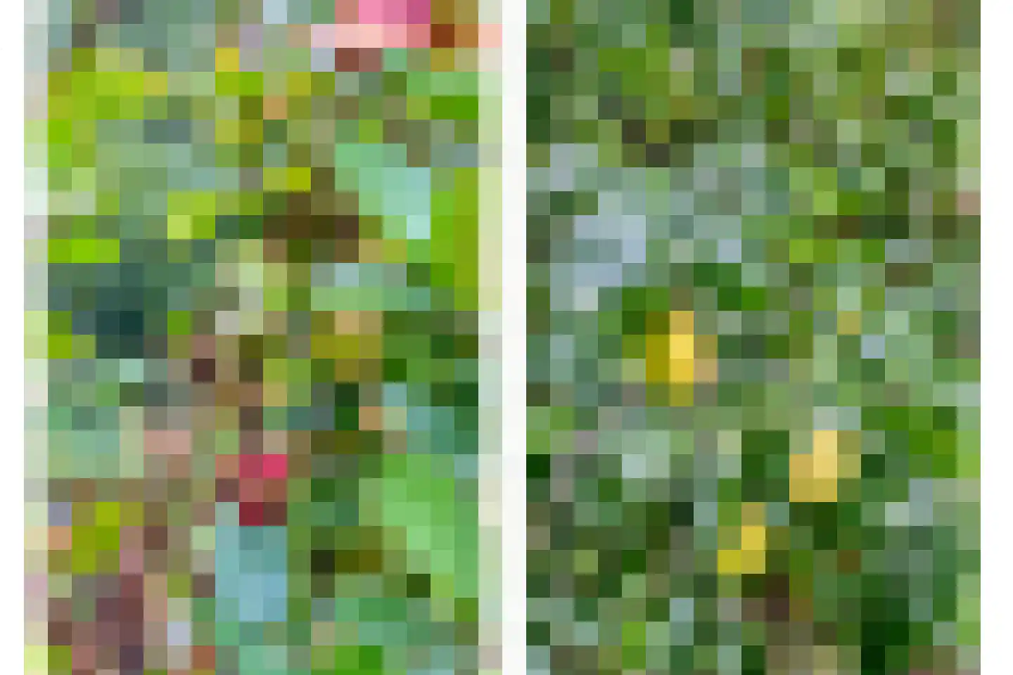 Zomervreugdweg 3 Vorden thumbnail 95