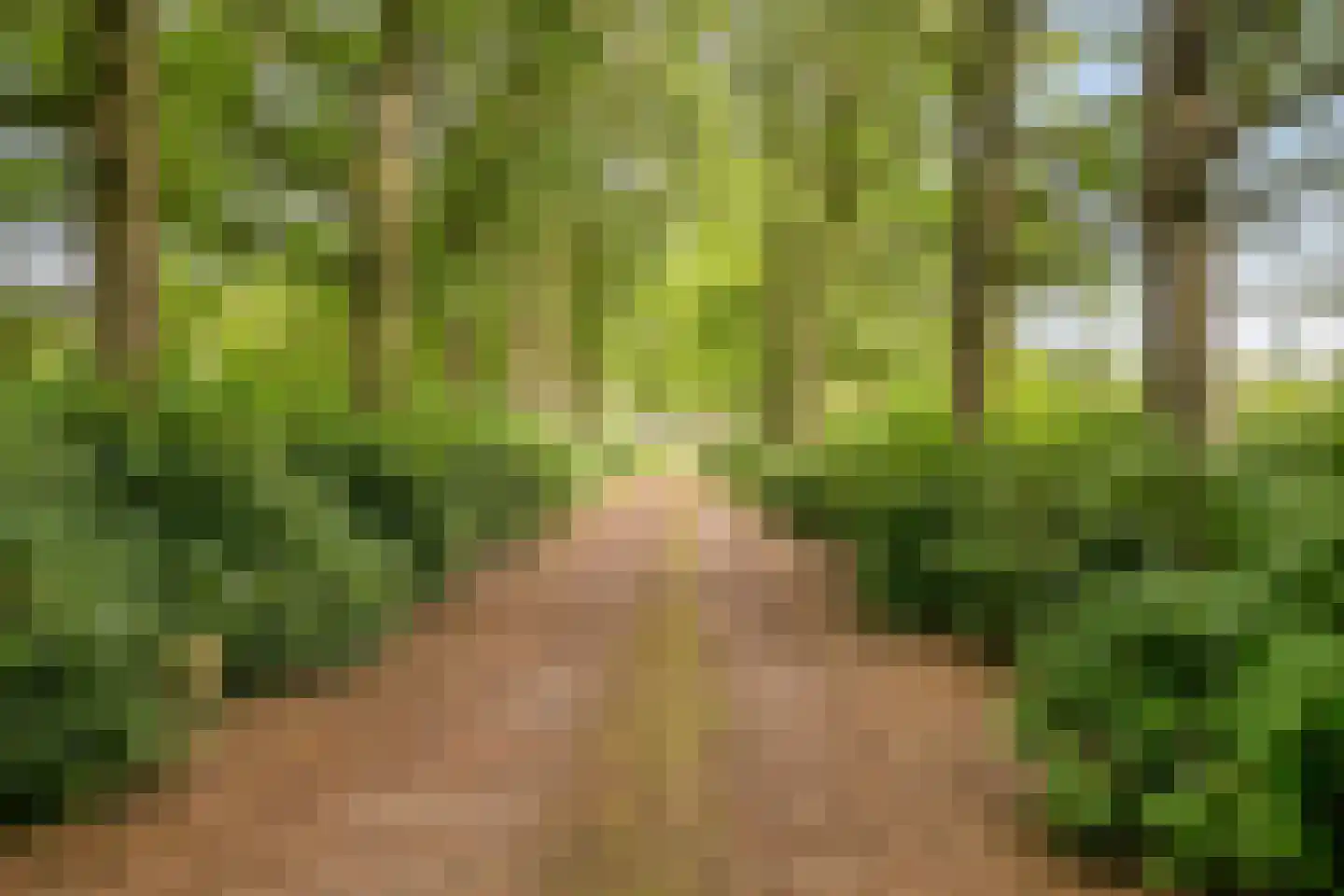 Zomervreugdweg 3 Vorden thumbnail 96