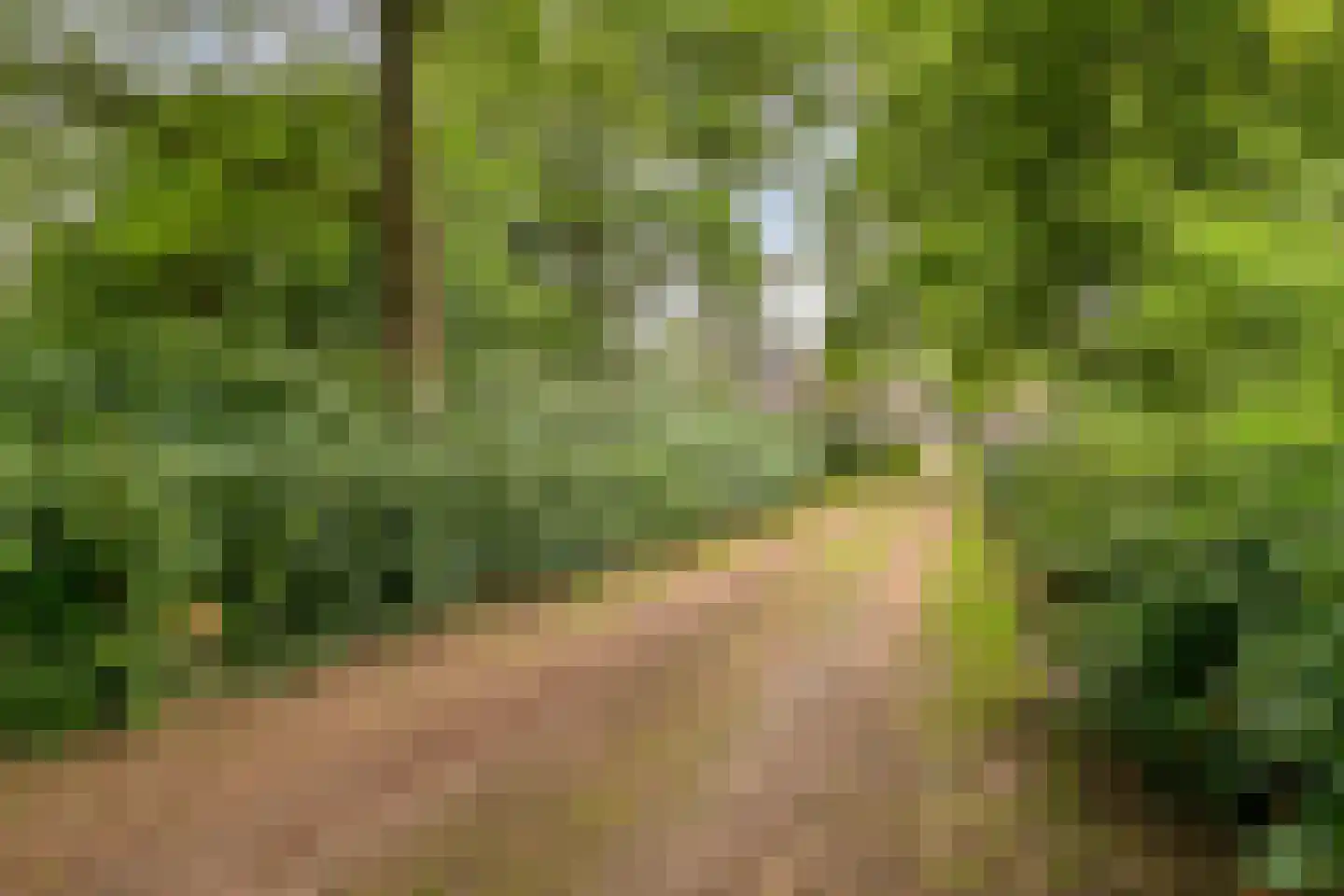 Zomervreugdweg 3 Vorden thumbnail 97