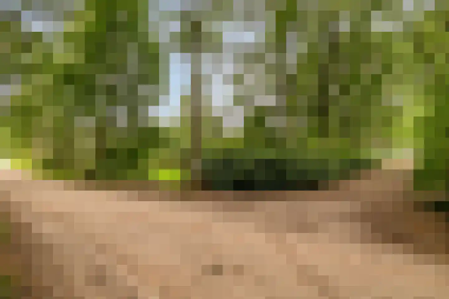 Zomervreugdweg 3 Vorden thumbnail 98