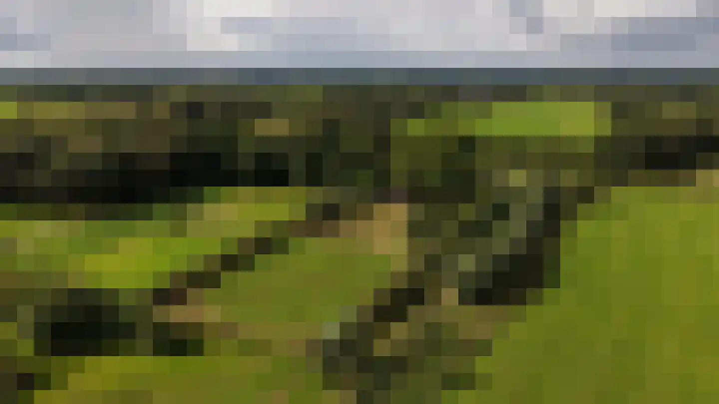 Zomervreugdweg 3 Vorden thumbnail 99