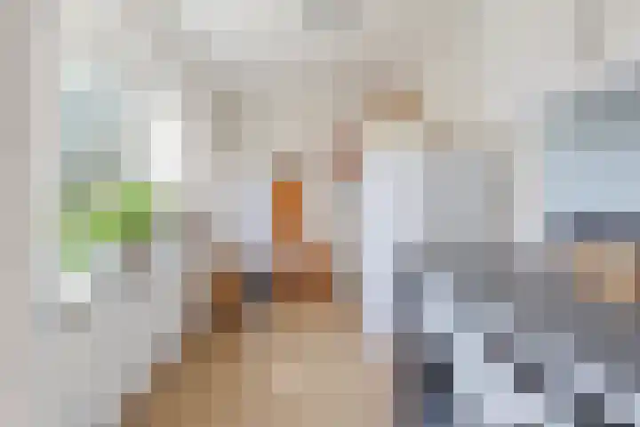 Zomerweg 1 Oosterwolde thumbnail 18