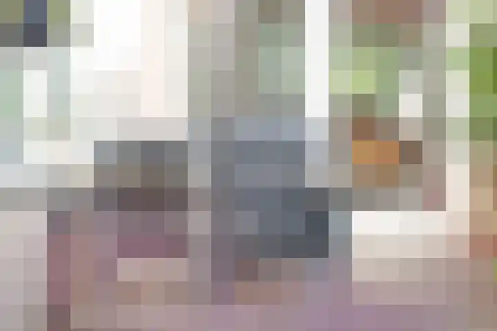 Zomerweg 1 Oosterwolde thumbnail 31