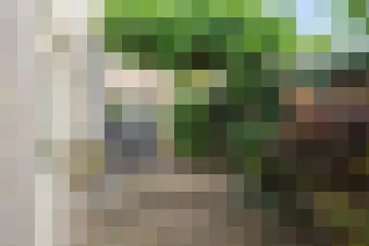 Zomerweg 1 Oosterwolde thumbnail 32
