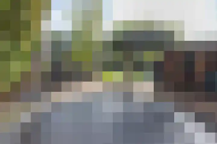Zomerweg 1 Oosterwolde thumbnail 36