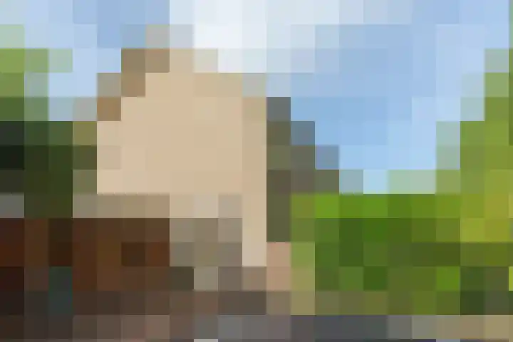 Zomerweg 1 Oosterwolde thumbnail 37