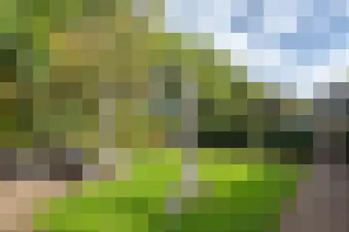 Zomerweg 1 Oosterwolde thumbnail 39