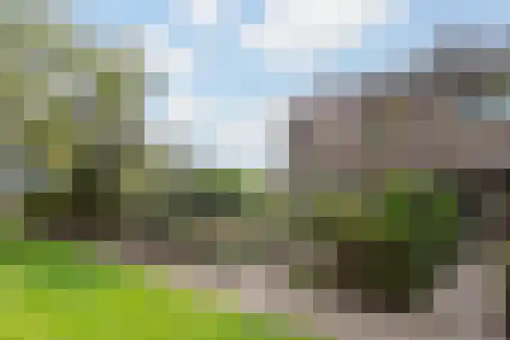Zomerweg 1 Oosterwolde thumbnail 4