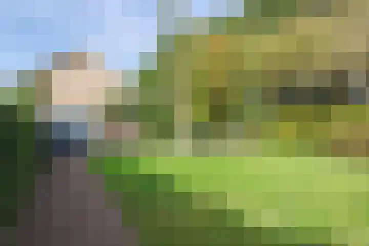 Zomerweg 1 Oosterwolde thumbnail 40