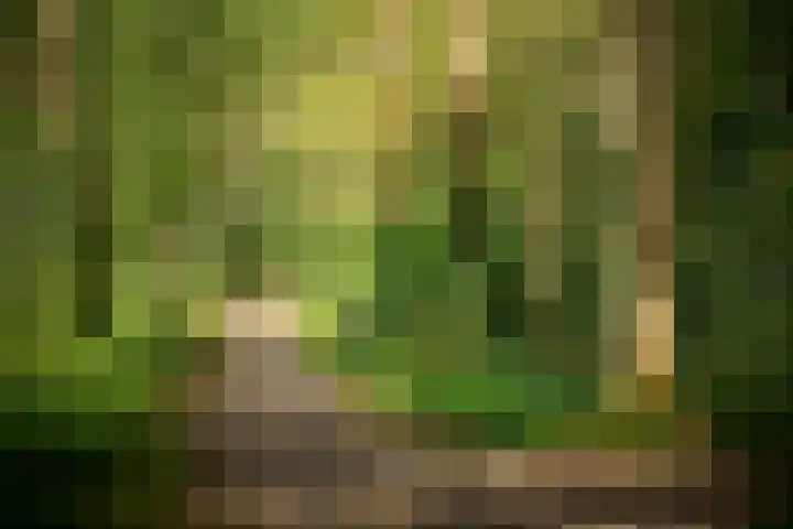 Zomerweg 1 Oosterwolde thumbnail 42