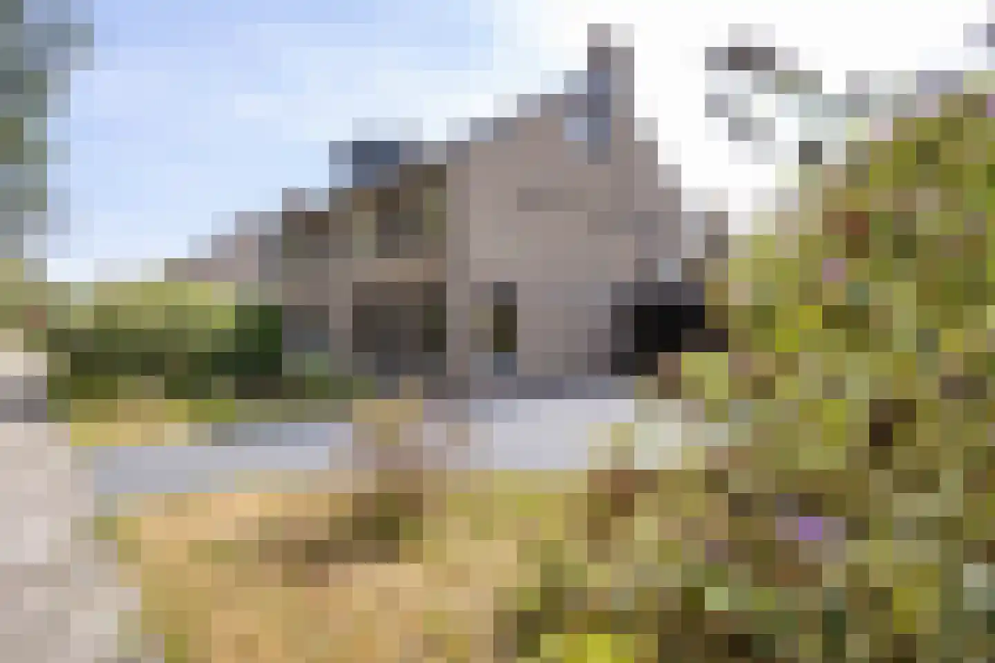 Zomerweg 13 Oosterwolde thumbnail 14
