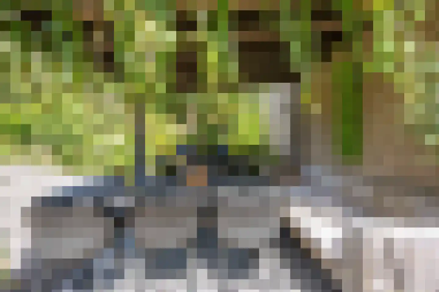 Zomerweg 13 Oosterwolde thumbnail 54