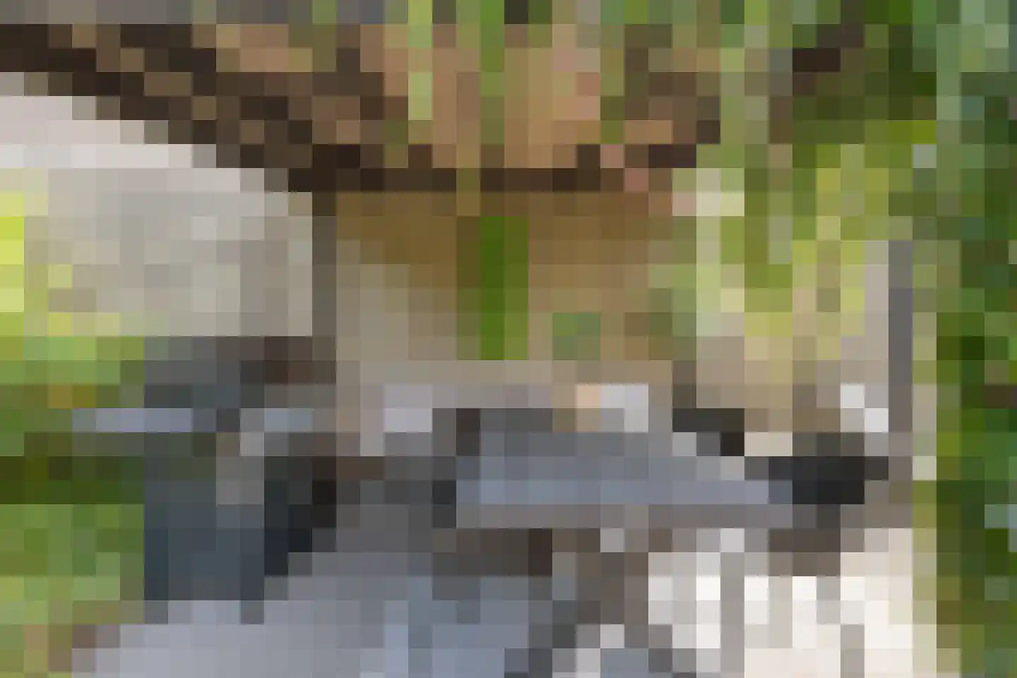 Zomerweg 13 Oosterwolde thumbnail 55