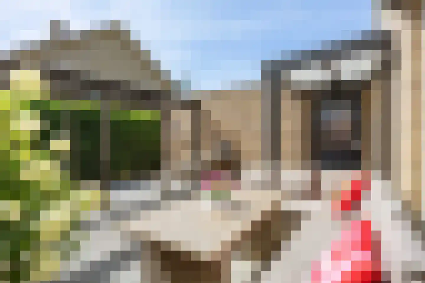 Zomerweg 13 Oosterwolde thumbnail 8