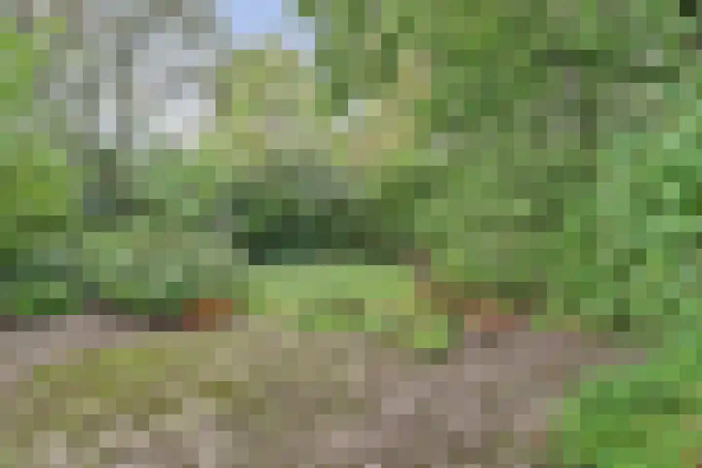 Zomerweg 21 Kloetinge thumbnail 27