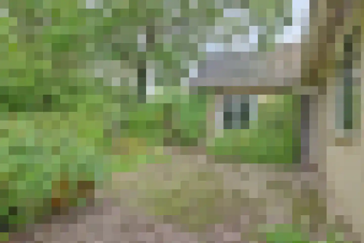 Zomerweg 21 Kloetinge thumbnail 28