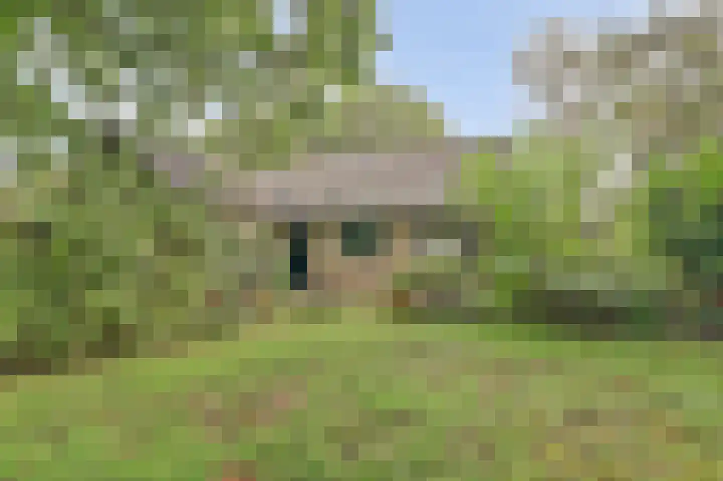 Zomerweg 21 Kloetinge thumbnail 29