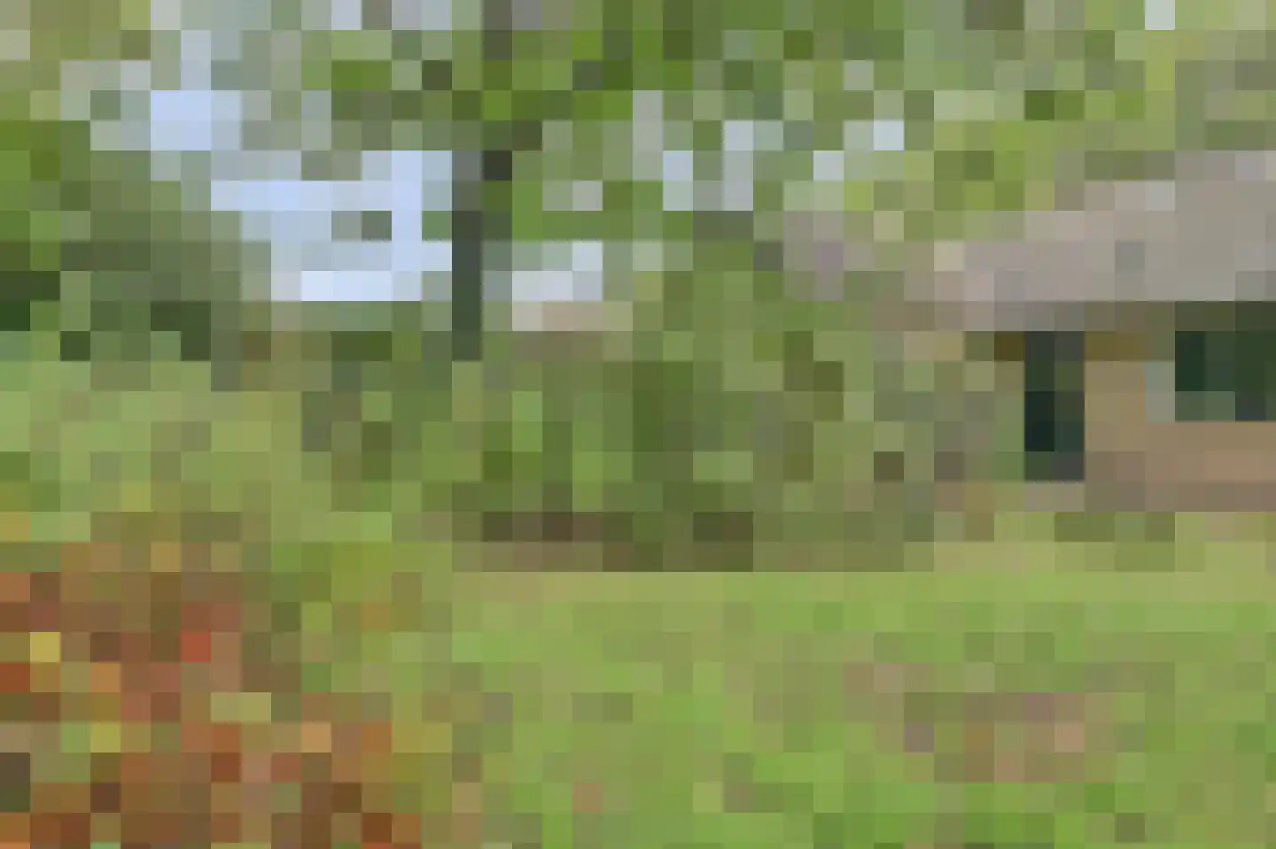 Zomerweg 21 Kloetinge thumbnail 30