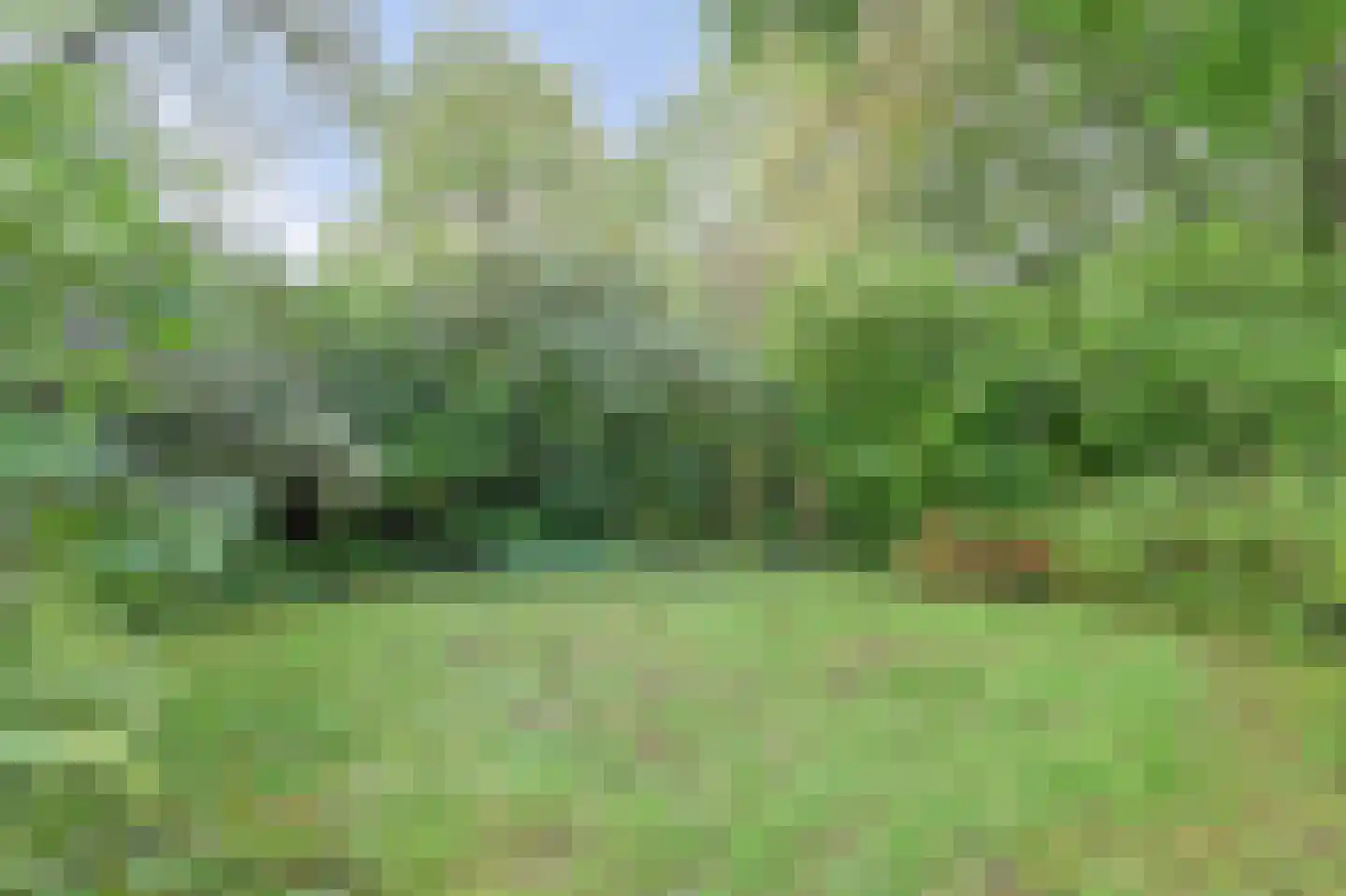 Zomerweg 21 Kloetinge thumbnail 31