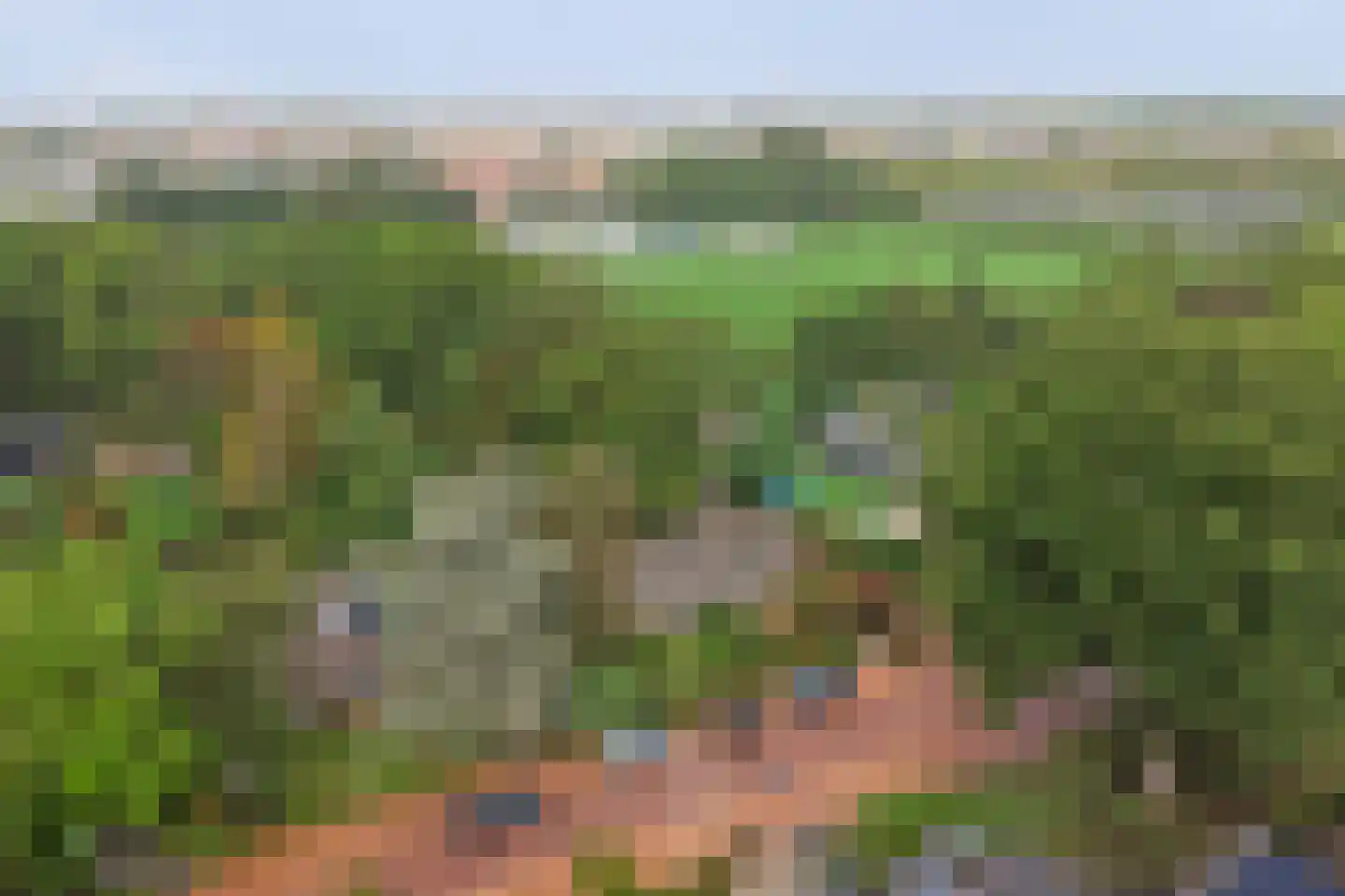 Zomerweg 21 Kloetinge thumbnail 36