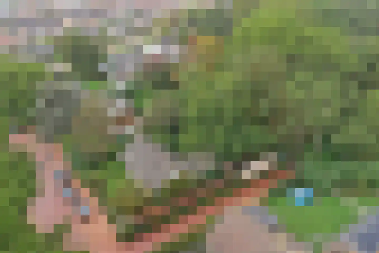 Zomerweg 21 Kloetinge thumbnail 37