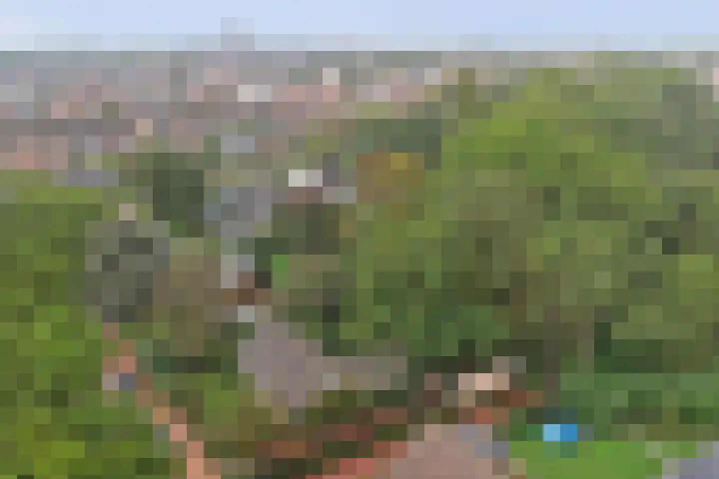 Zomerweg 21 Kloetinge thumbnail 38