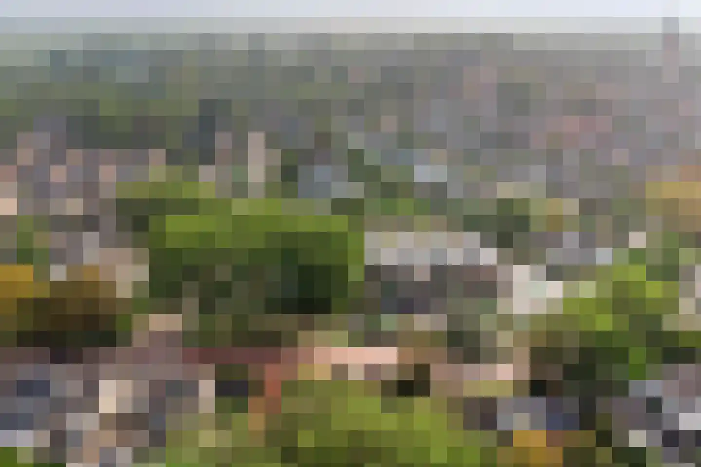 Zomerweg 21 Kloetinge thumbnail 39