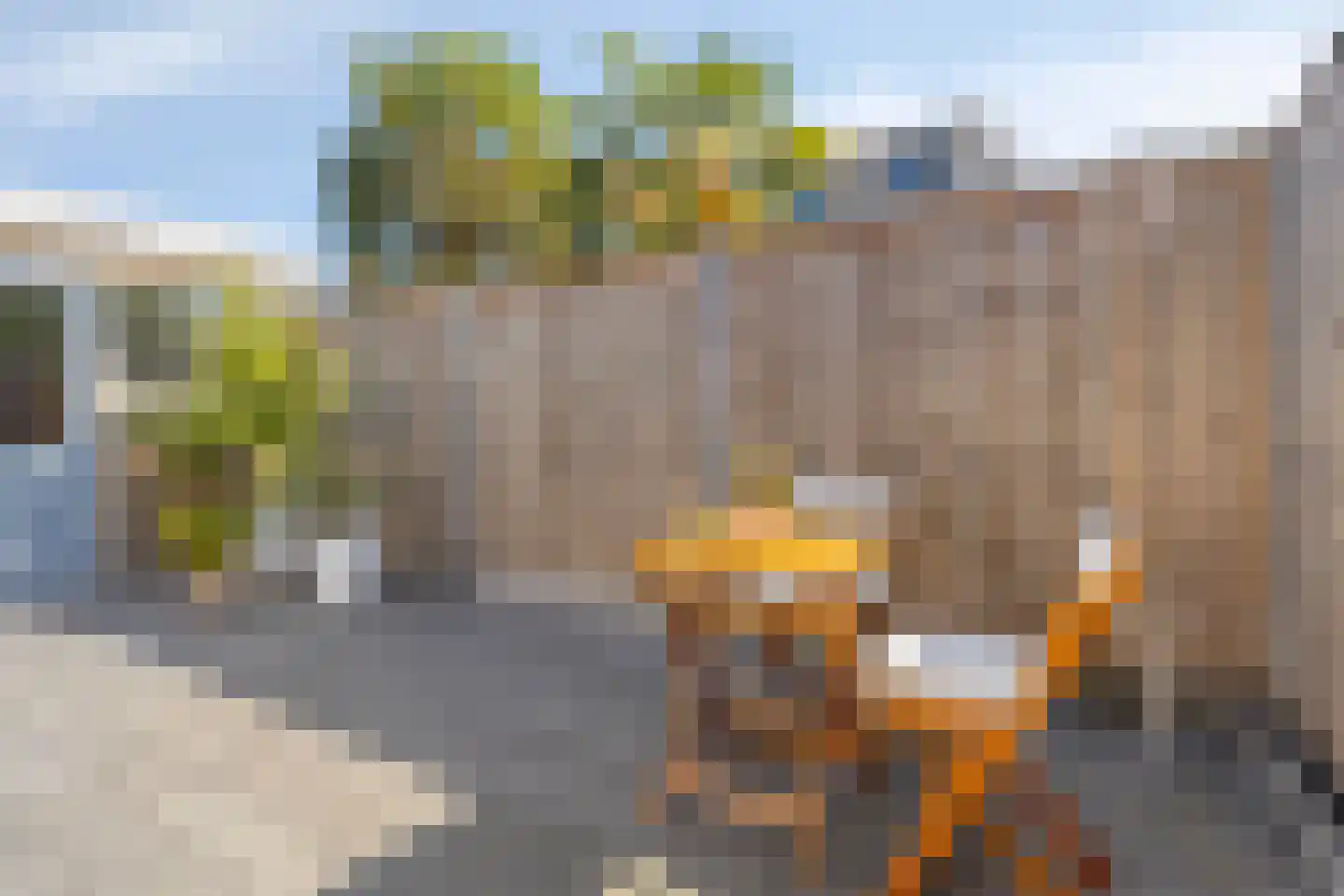 Zomerweg 22 Kloetinge thumbnail 40