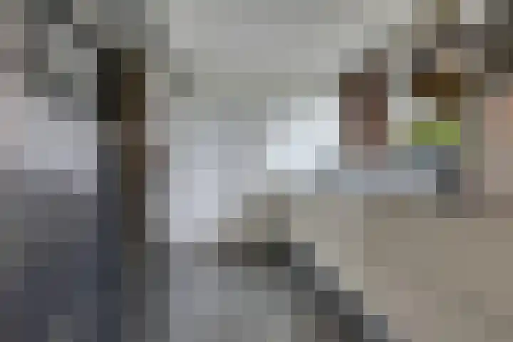 Zomerweg 25 Drempt thumbnail 23