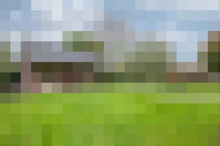 Zomerweg 25 Drempt foto 3