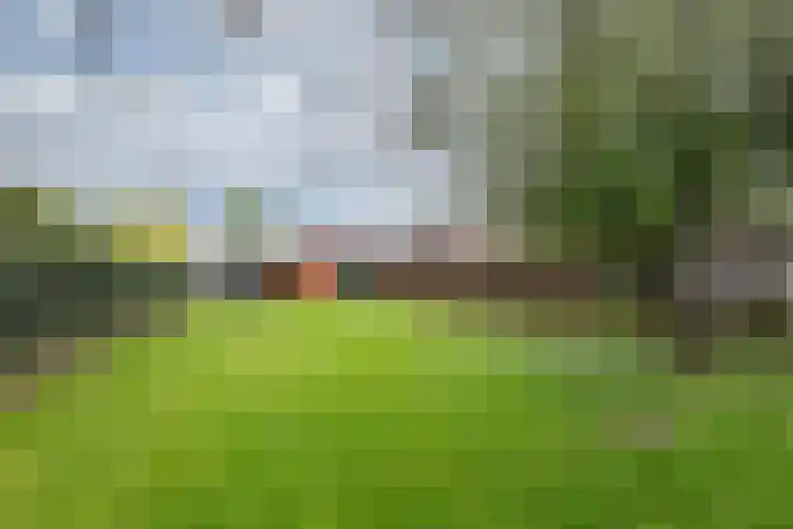 Zomerweg 25 Drempt thumbnail 39