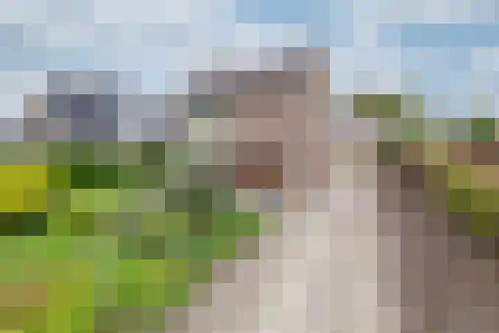 Zomerweg 25 Drempt thumbnail 4