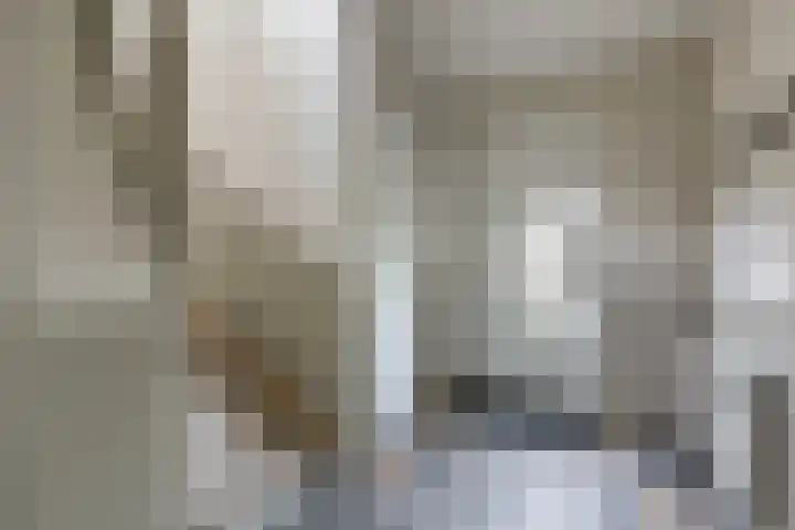 Zomerweg 25 Drempt thumbnail 48