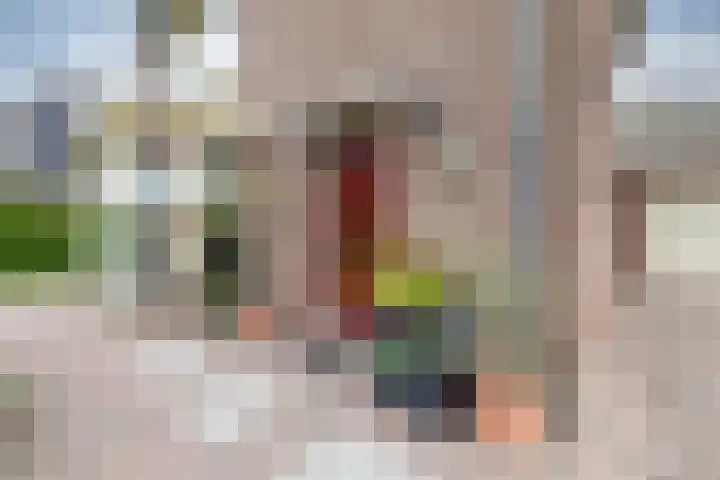 Zomerweg 25 Drempt thumbnail 6