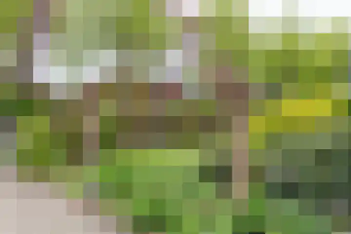 Zomerweg 25 Drempt thumbnail 75