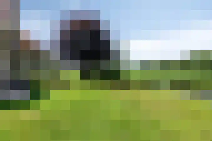 Zomerweg 32 Hurdegaryp thumbnail 10