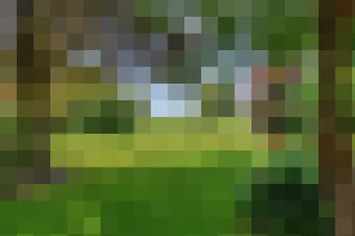 Zomerweg 32 Hurdegaryp thumbnail 11