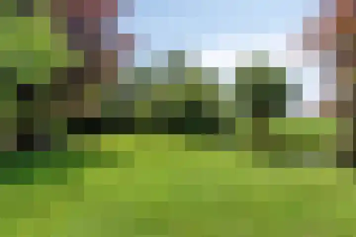Zomerweg 32 Hurdegaryp thumbnail 12